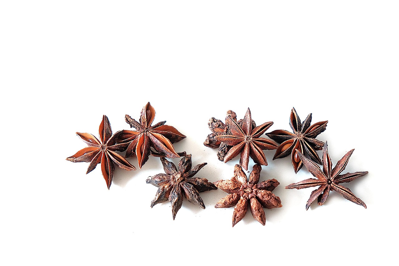 Star Aniseed